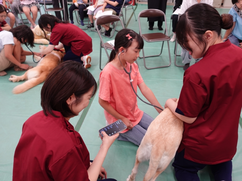 酪農学園大学「両生類・は虫類について学ぶ」|10/31