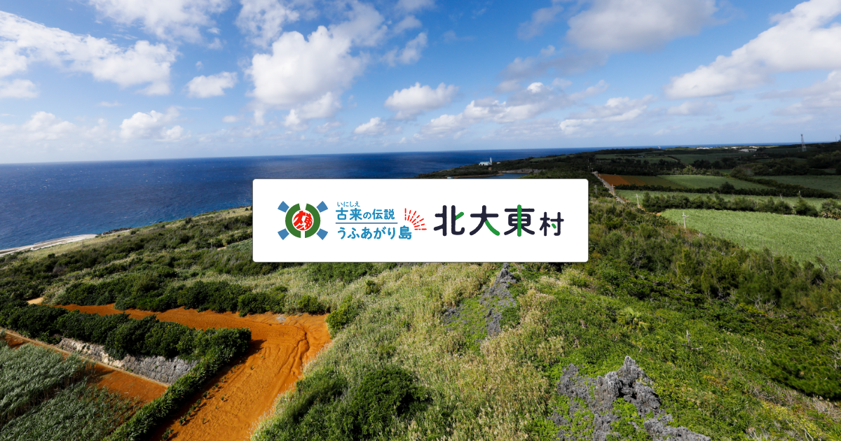 妊婦健康診査について