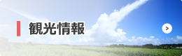 努力点と具体策(生涯学習の推進)
