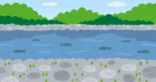本郷用水親水緑道の生物調査 申込要