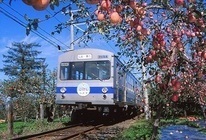 平川市への移住・交流情報