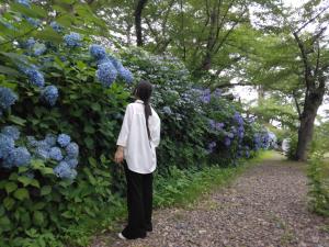 上越市への先輩移住者の声