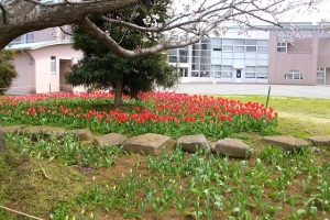 中部公民館