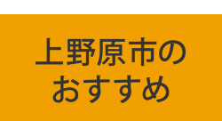 子育て保健課