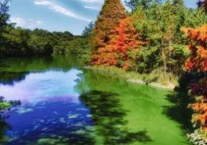 愛知県森林公園「万葉の草木めぐり」|10/14