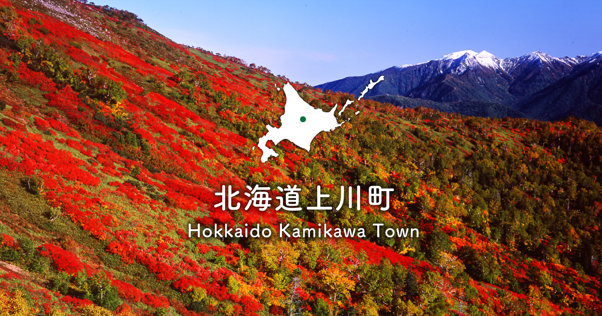 上川中部こども通園センター通園交通費助成