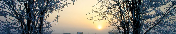 絵本の里けんぶち町/人・夢・大地 やさしさ奏でる 絵本の里けんぶち - 健康 |