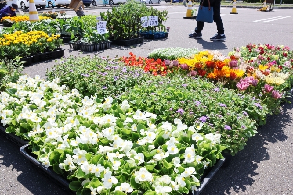 鹿追町の年間イベント情報