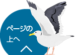 地域子育て支援センターなかよし
