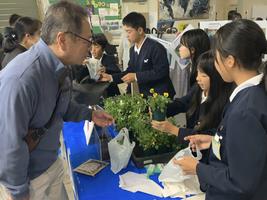 小浜の未来を担う子どもたちの学びにご支援をお願いします(小浜市学校教育応援基金)